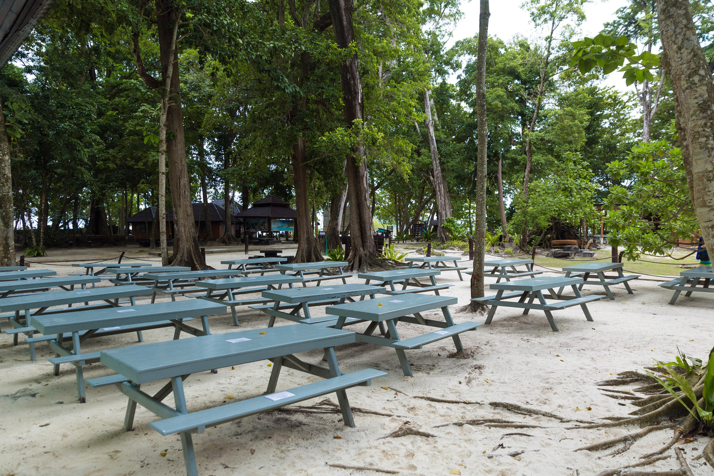 SIMILAN ISLANDS Premium hopping tour by Love Andaman