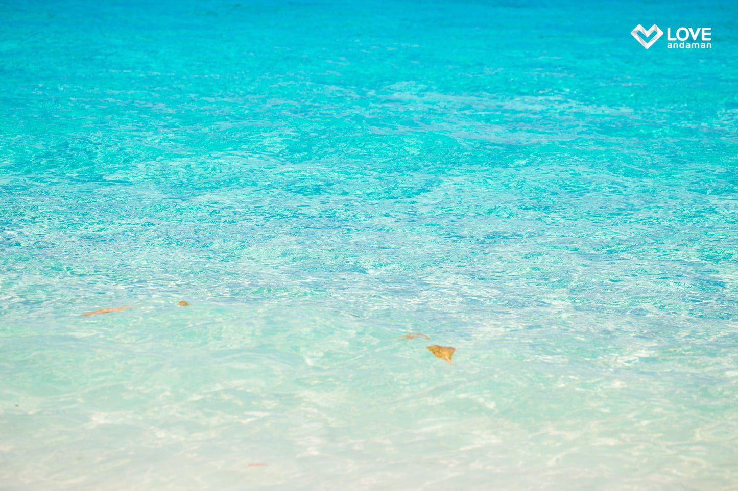 SIMILAN ISLANDS Premium hopping tour by Love Andaman