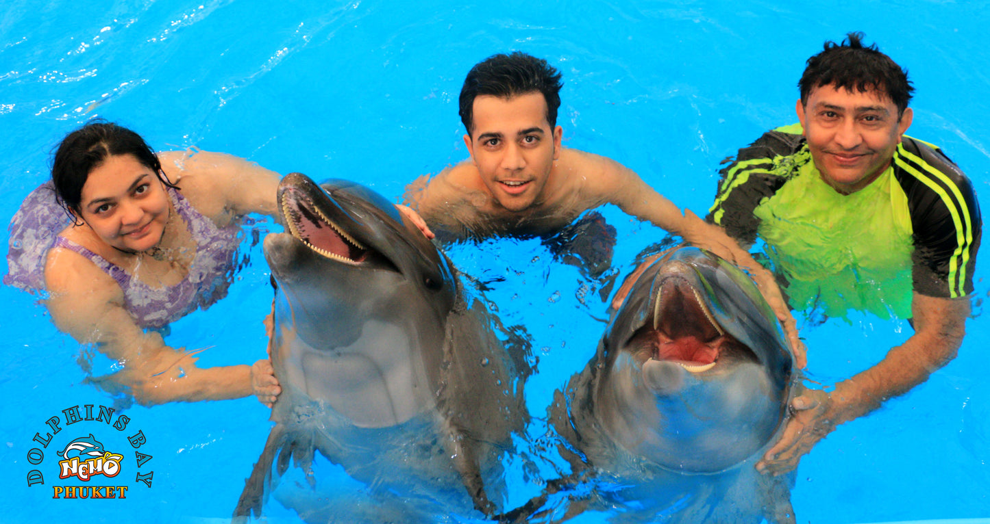 Phuket Thailand Dolphin Show 2023