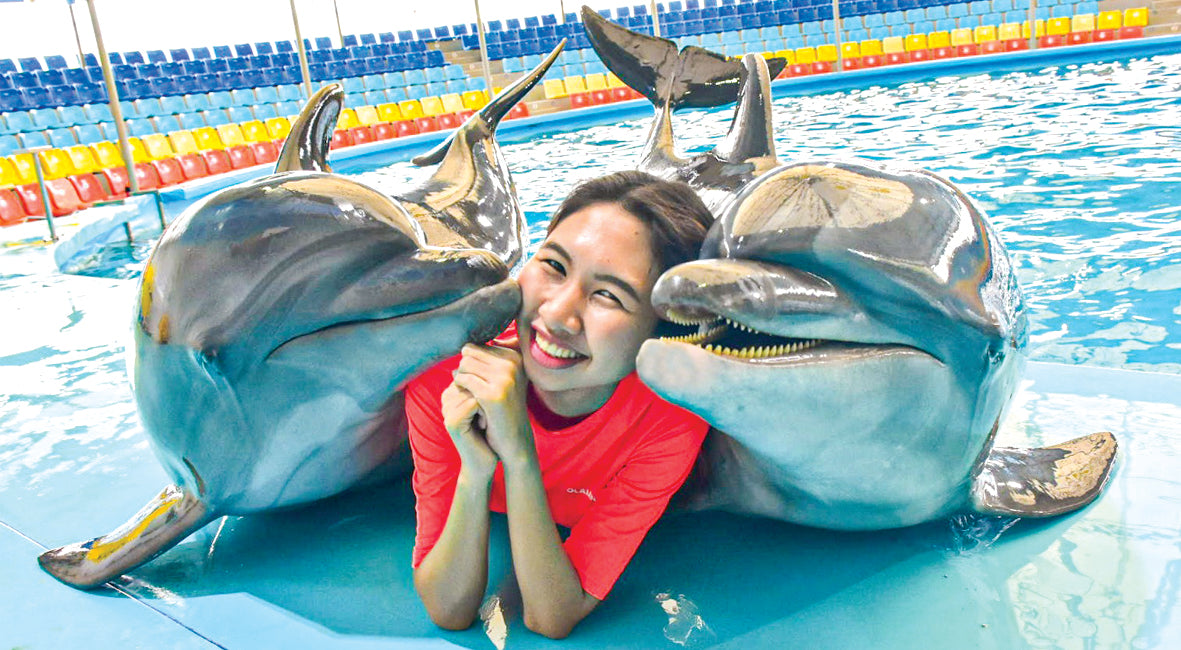 Phuket Thailand Dolphin Show 2023