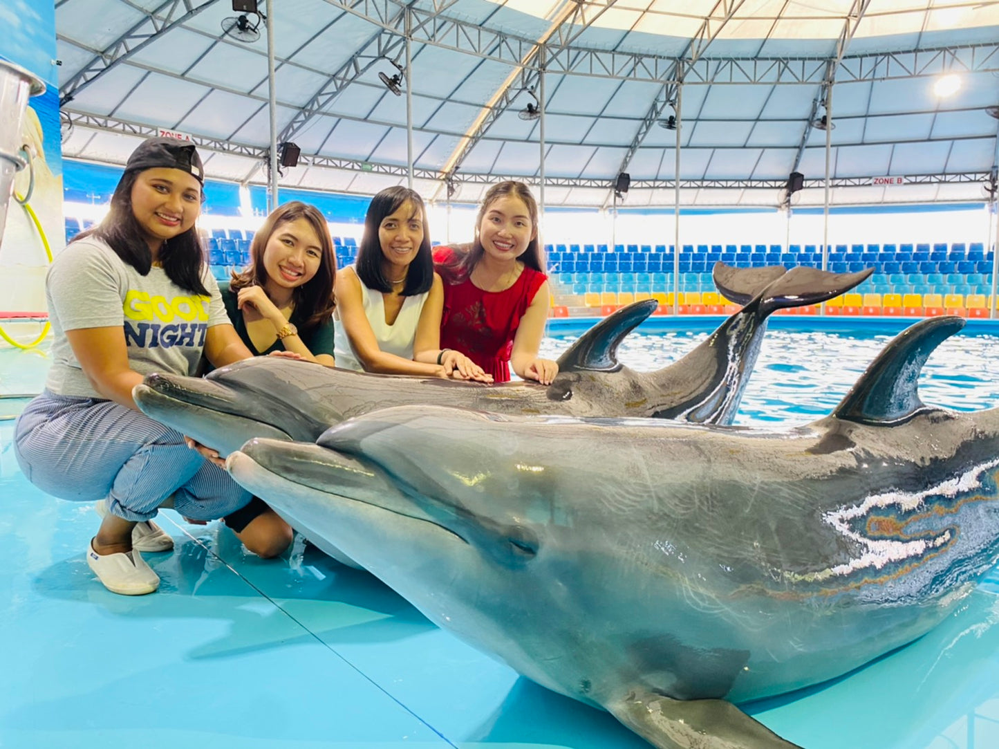 Phuket Thailand Dolphin Show 2023