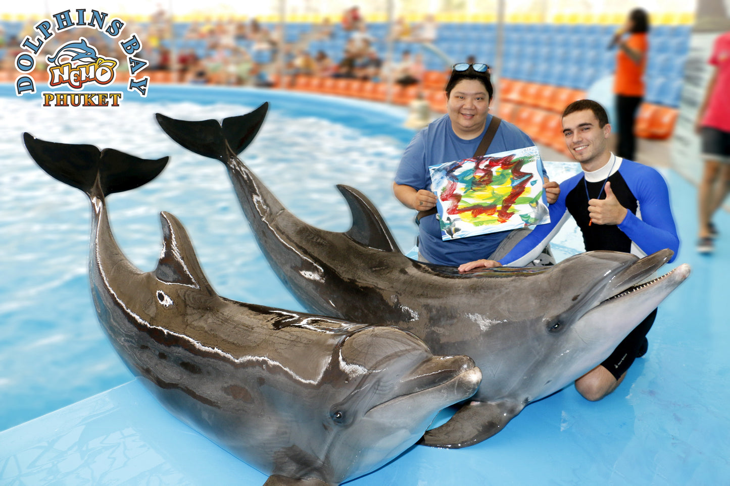 Phuket Thailand Dolphin Show 2023