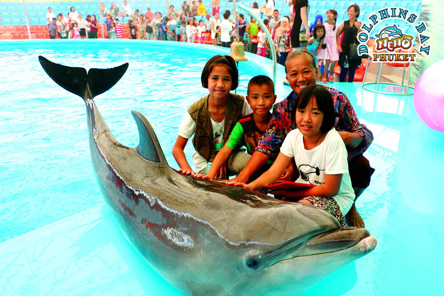 Phuket Thailand Dolphin Show 2023