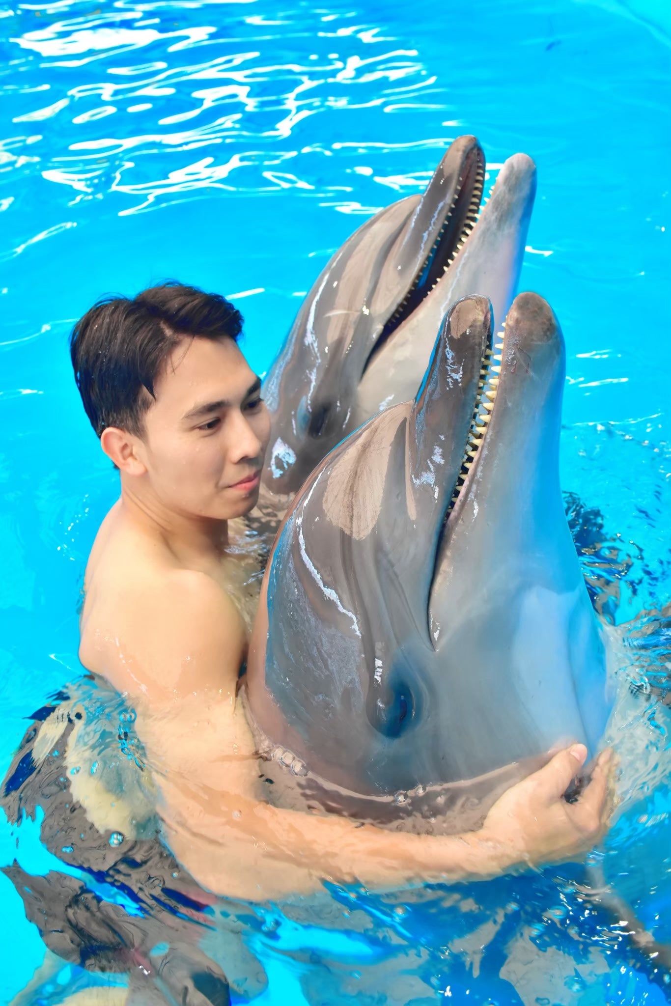 Phuket Thailand Dolphin Show 2023