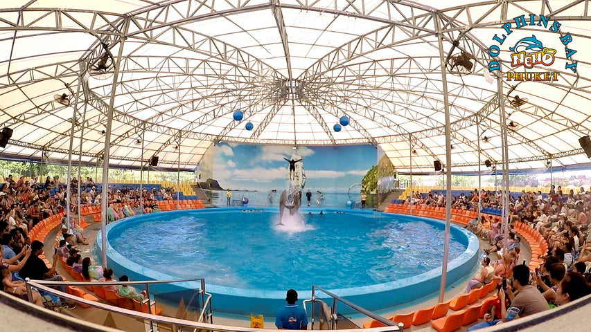 Phuket Thailand Dolphin Show 2023