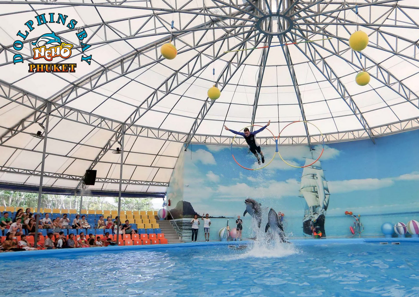 Phuket Thailand Dolphin Show 2023