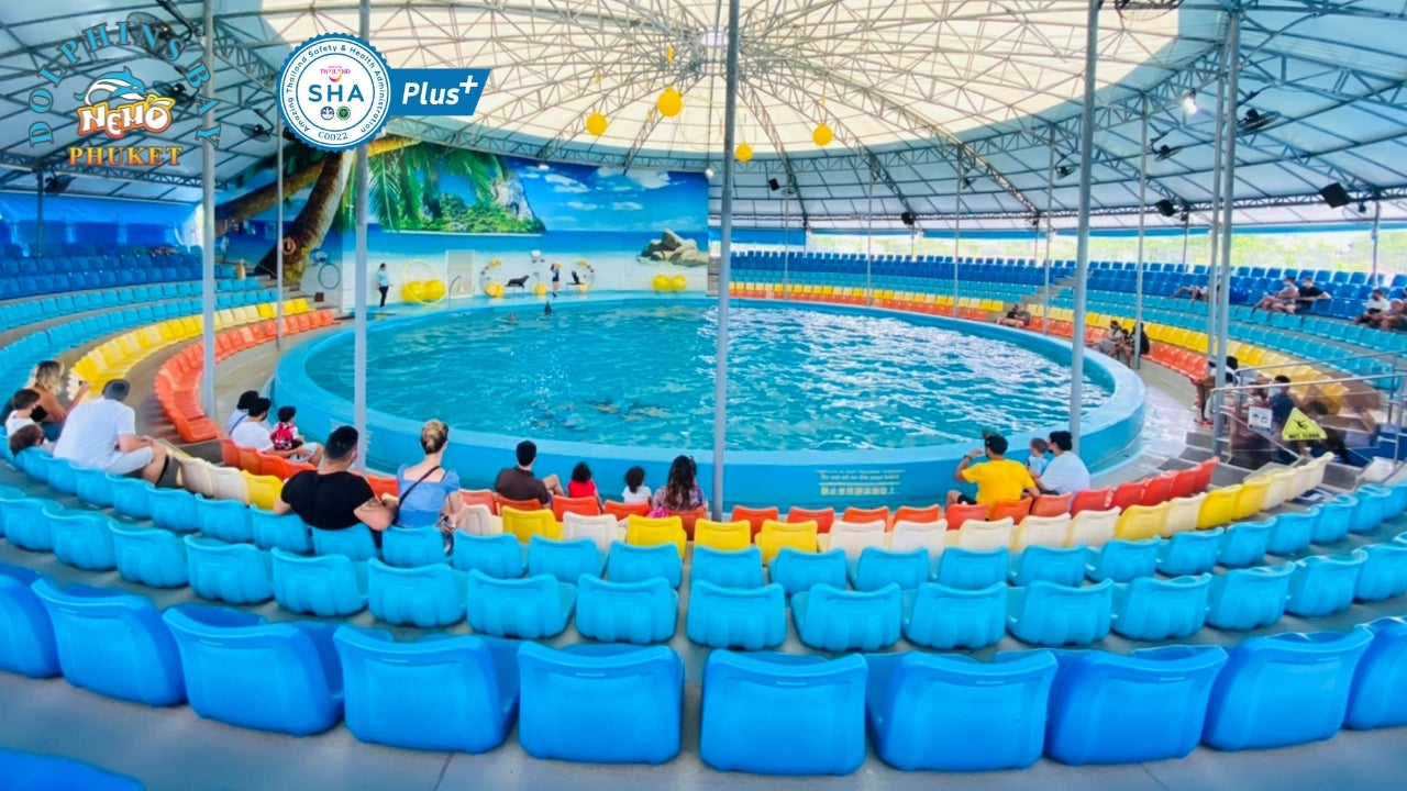 Phuket Thailand Dolphin Show 2023